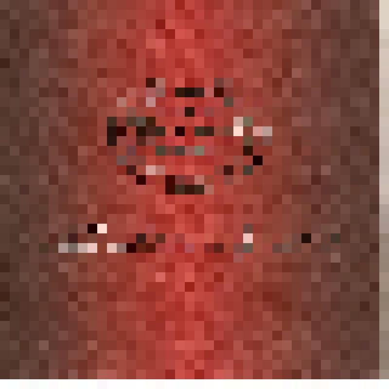 Брошюра «RESORT» «Золотой колос»