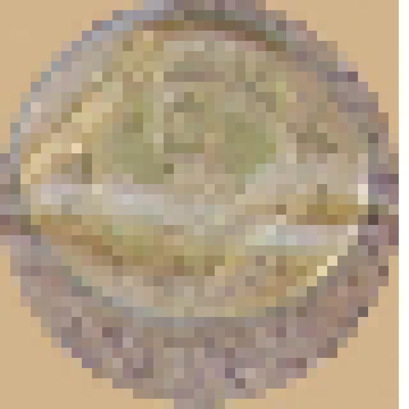 Монета. Номинал 5 дирхамов. Ливия