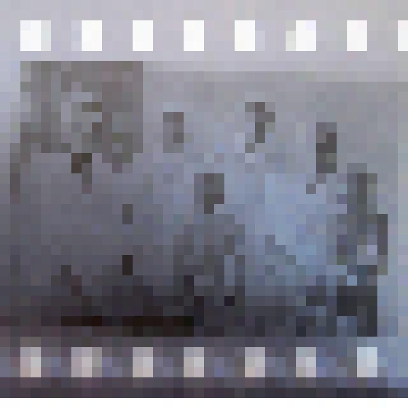 Негатив групповой фотографии "Клара Андреевна и Фёдор Фёдорович Литау с детьми"