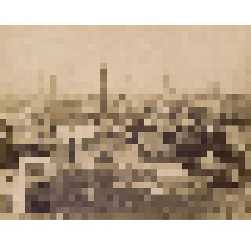Фотоотпечаток. Панорама Каира. Арабы Египта