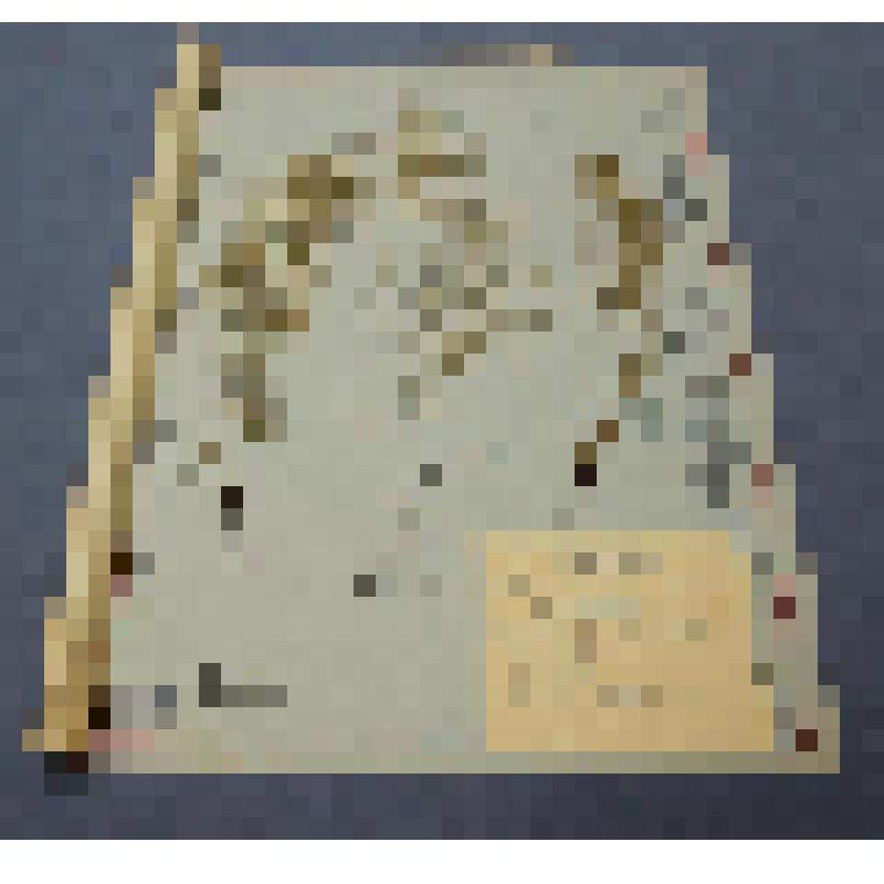 Ботаническая коллекция. Хвощ маленький, семейство хвощовые, на гербарном листе, окрестности Абакана, пойма реки Енисея. Cем. Eduisetaceae P. Eguisetum B. Schpoides Michaux