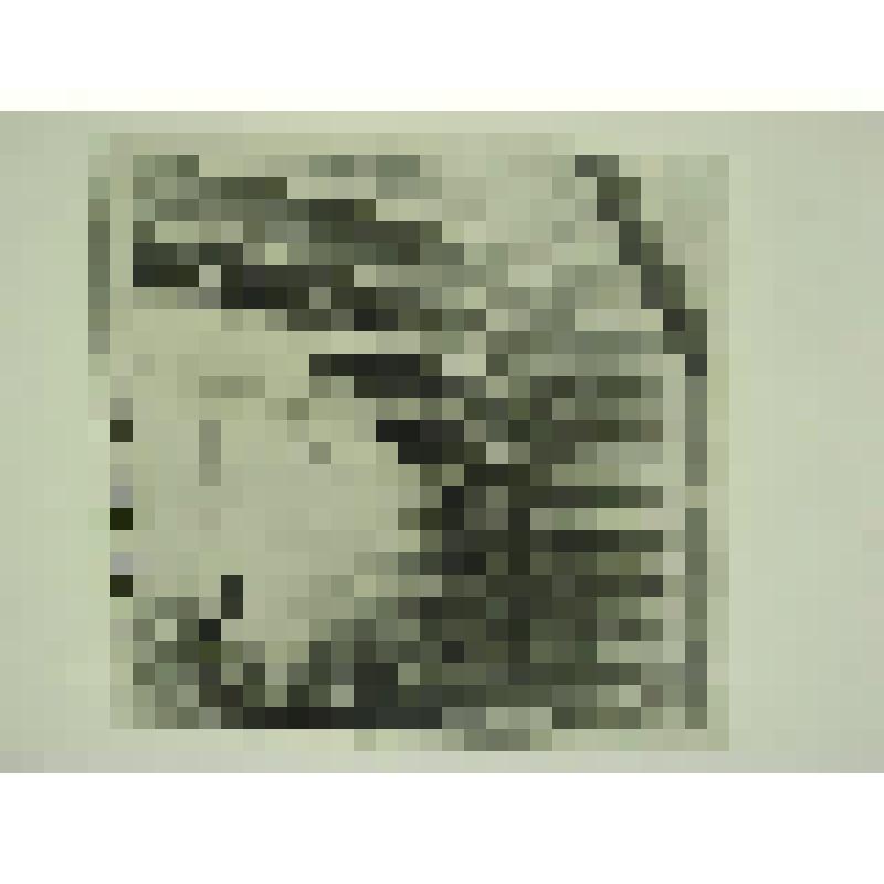 Дом Баранчиковых. Ул. Красный путь. 1880-е гг. Челябинская  обл., Кусинский р-н, с. Медведевка. Дом Баранчиковых. Ул. Красный путь. 1880-е гг. Верхний угол сруба