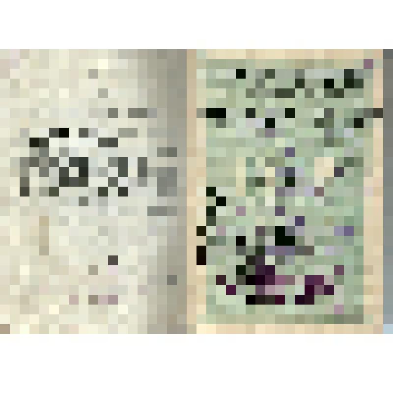 Членский билет N 174589 Бернштейна М.И. - члена проф. рабочих полиграфпроизводства СССР