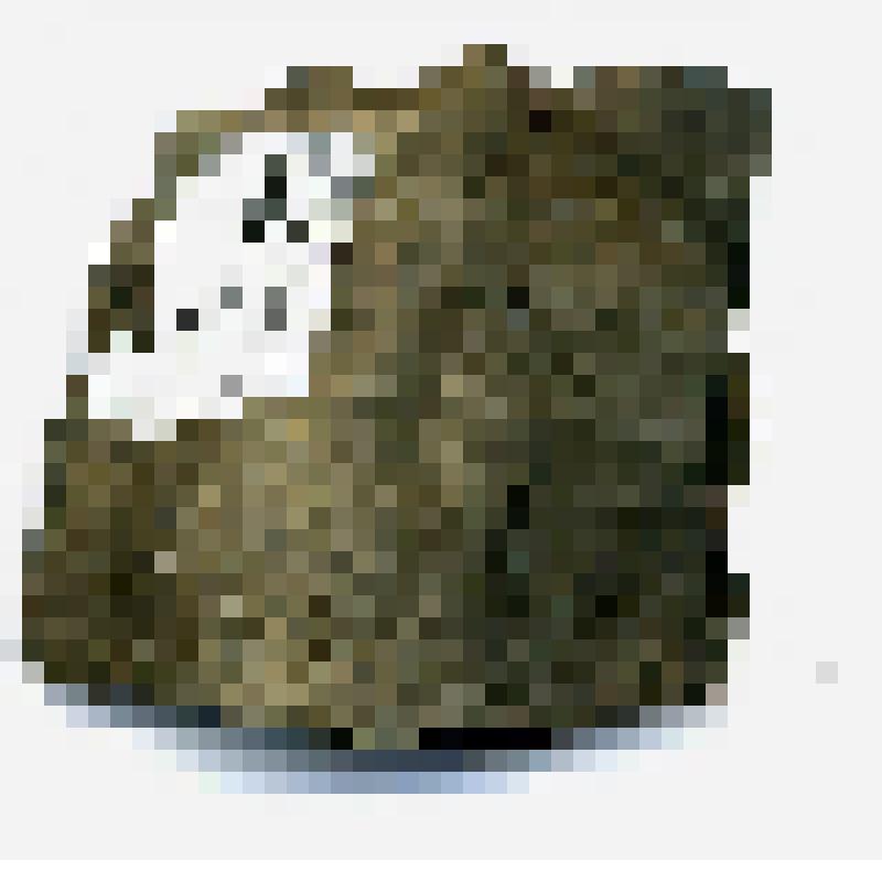Заготовка орудия (?)