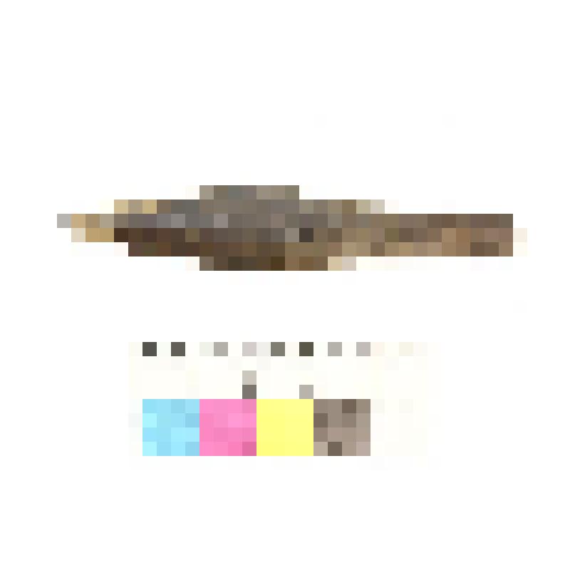 Наконечник стрелы. Коллекция из раскопок древнего святилища Усть-Полуй 2014 года