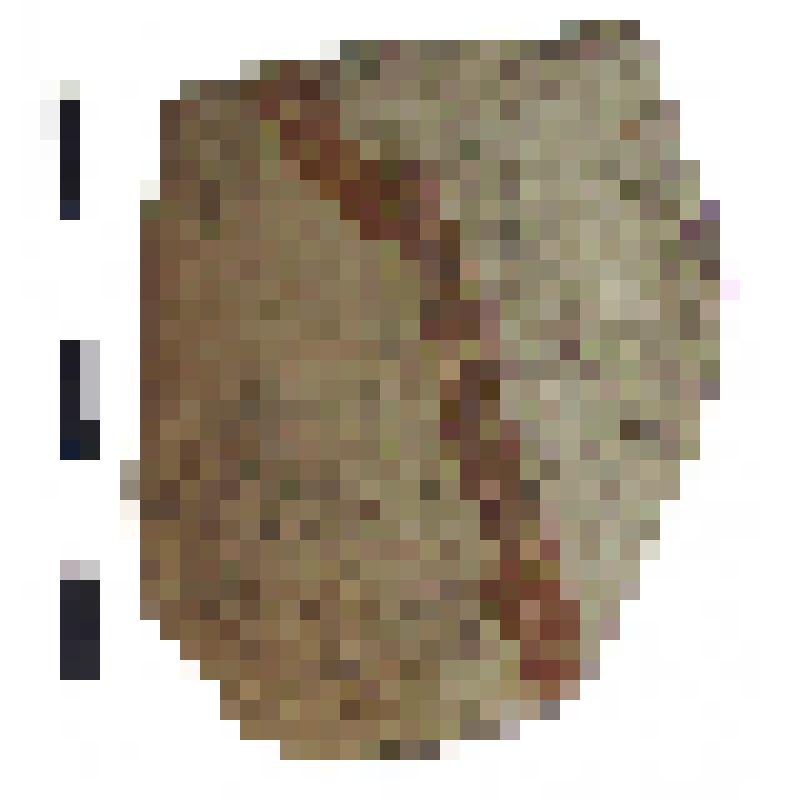 Фрагмент средней части горла амфоры типа D с дипинто