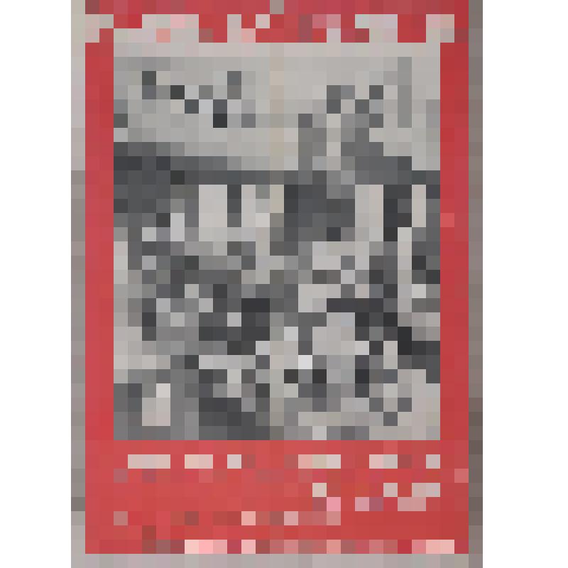 "Женщины антифашистки"