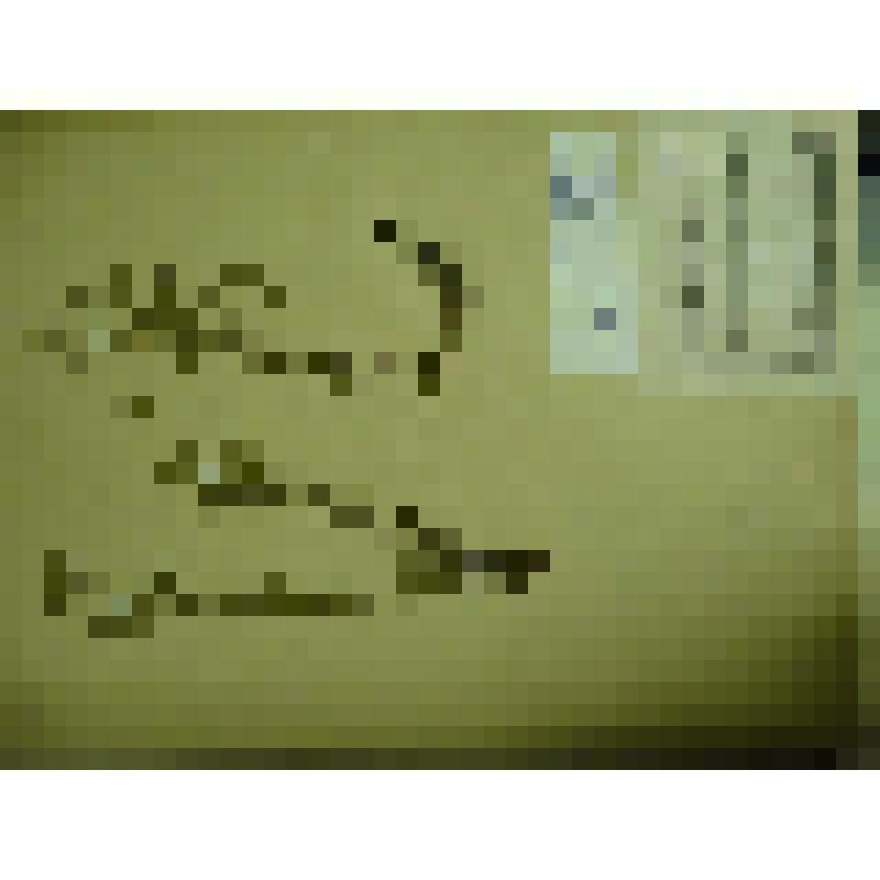 Гербарий. Мелкоцветник прямой, гербария М.И.Губельмана