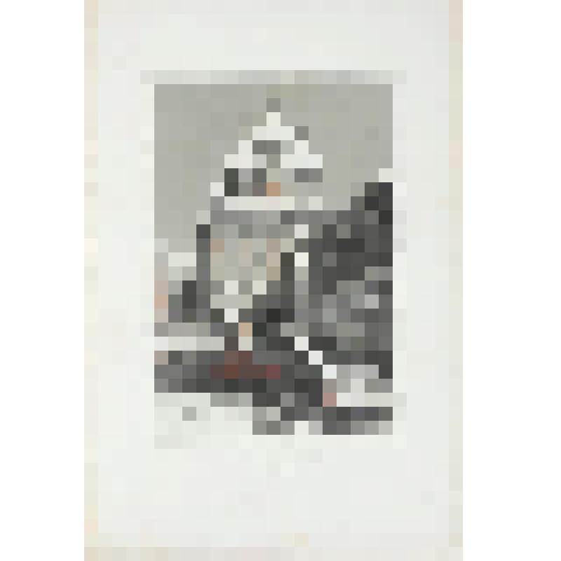 Литография. "Москва. Патриарший собор (Святых апостолов). Внутри Кремля."