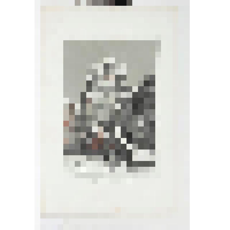 Литография. "Москва. Патриарший собор (Святых апостолов). Внутри Кремля."