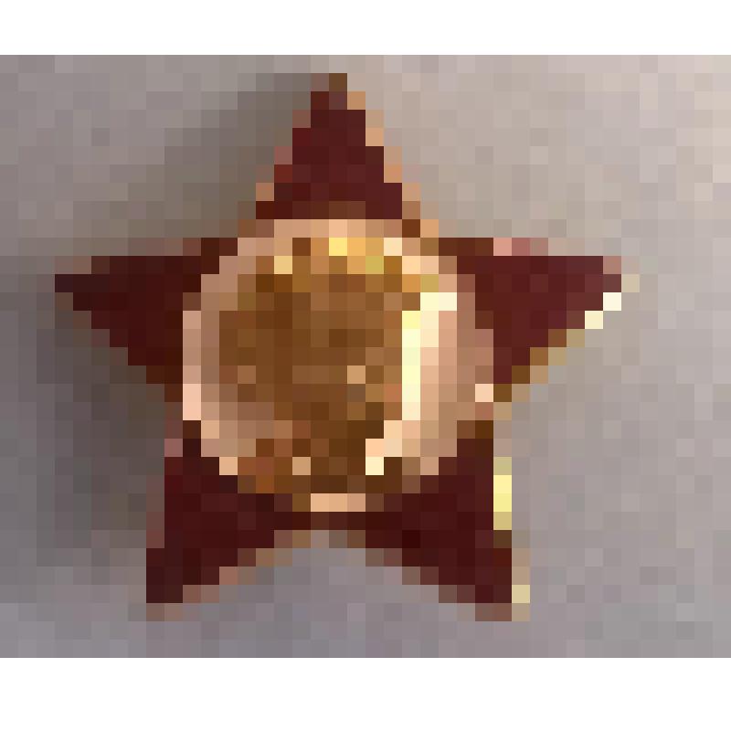 Значок. "Октябрятская звездочка"