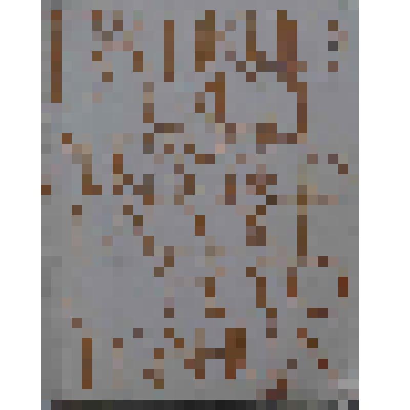 Книга. Башкирский ансамбль народного танца