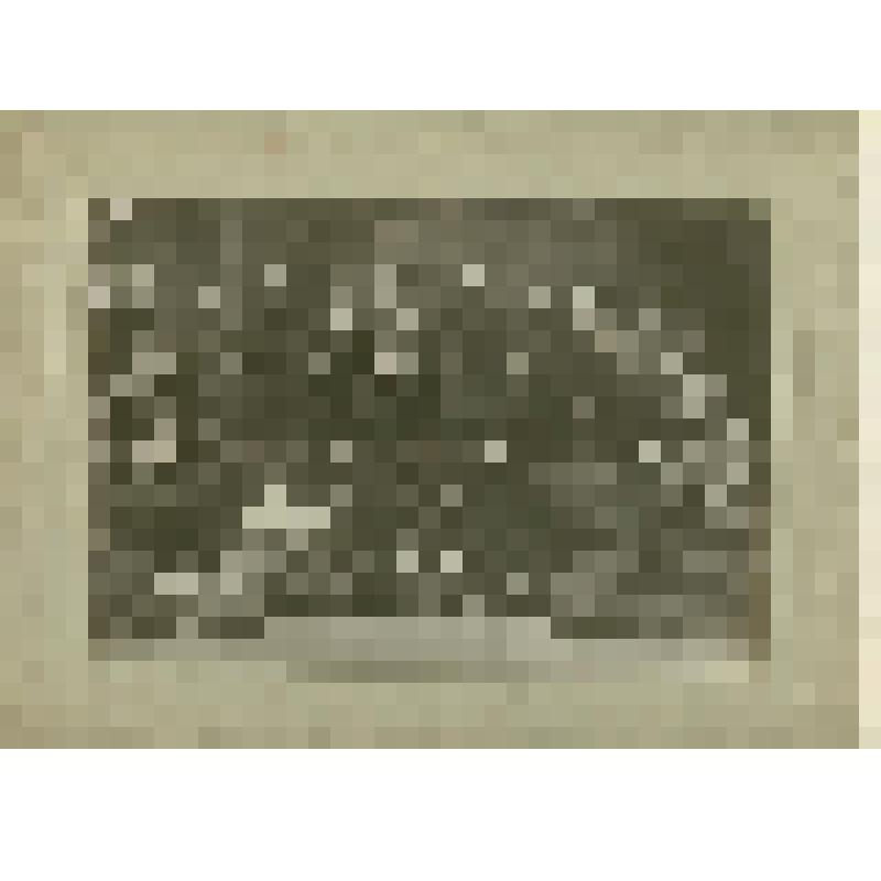 Фотография. Хохлов С.С., член профкома Красноуфимского с/х техникума, с коллегами, из коллекции материалов Хохлова Сергея Спиридоновича (1910-1974), саратовского ученого-генетика, доктора биологических наук, профессора, зав.кафедрой генетики и дарвинизма