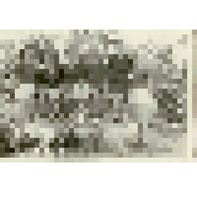 Фотография. Саратовская сборная по баскетболу на зональных соревнованиях