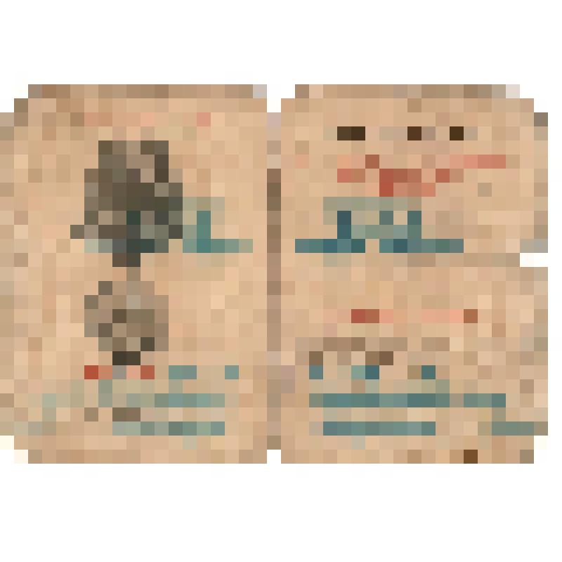 Удостоверение к медали «За взятие Берлина» Ельникова Н.И