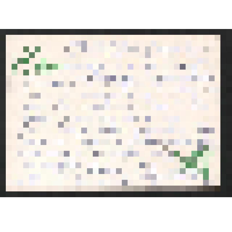 Поздравление [Ходак?] Людмилы Богомоловой З.А. с праздником 8 Марта