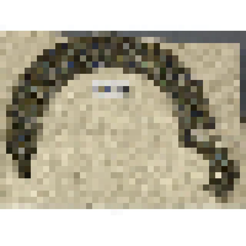 Венец двойной