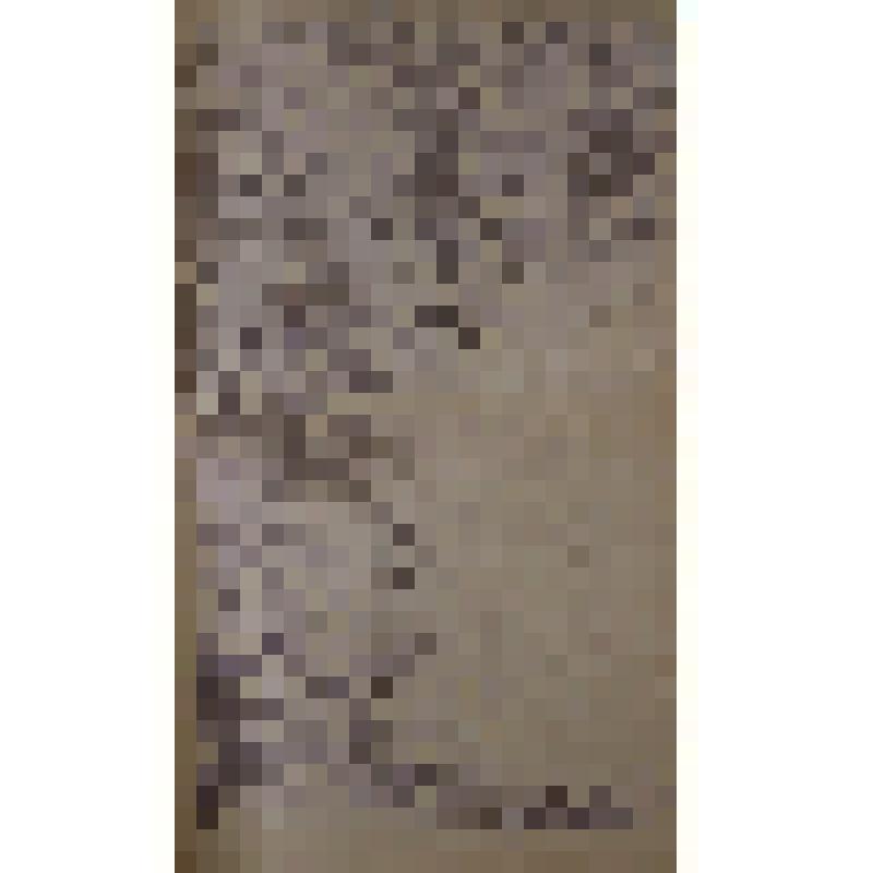 Воспоминания М.В. Голева о Гражданской войне, партизанском движении