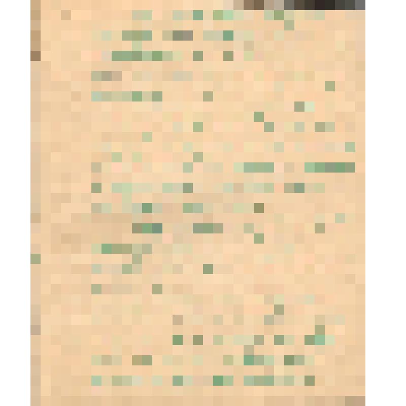 Воспоминания М.В. Голева о Гражданской войне, партизанском движении