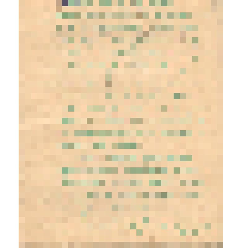 Воспоминания М.В. Голева о Гражданской войне, партизанском движении