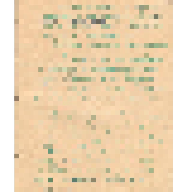 Воспоминания М.В. Голева о Гражданской войне, партизанском движении