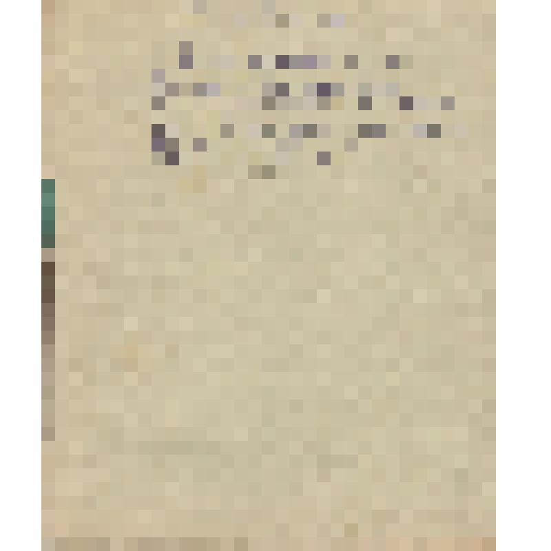 Воспоминания М.В. Голева о Гражданской войне, партизанском движении