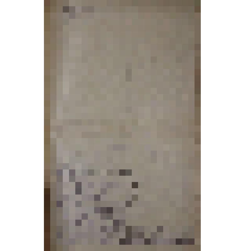 Воспоминания М.В. Голева о Гражданской войне, партизанском движении