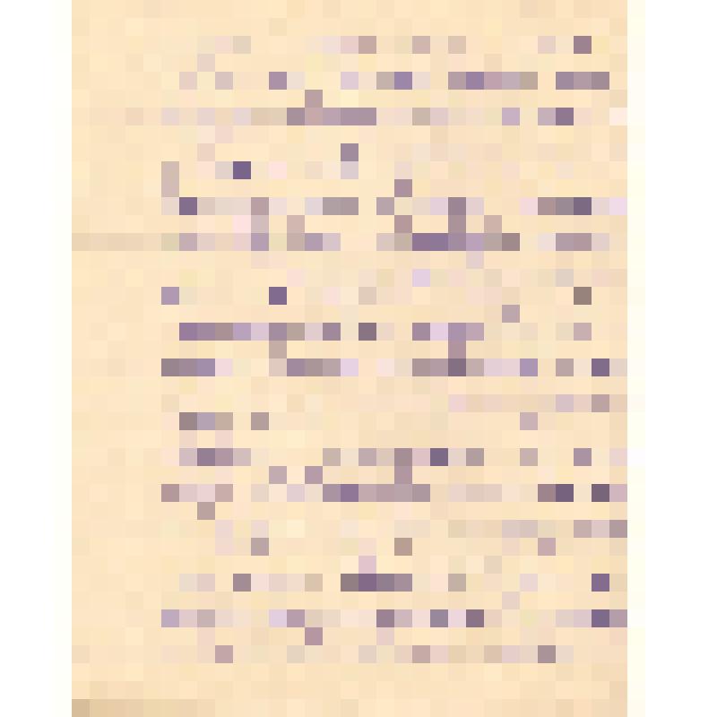 Воспоминания М.В. Голева о Гражданской войне, партизанском движении