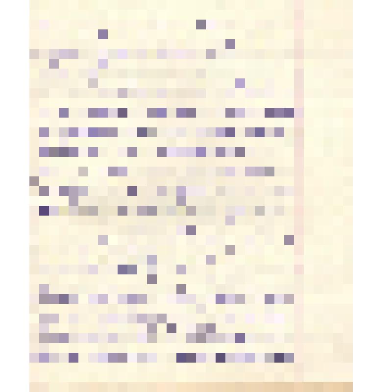 Воспоминания М.В. Голева о Гражданской войне, партизанском движении