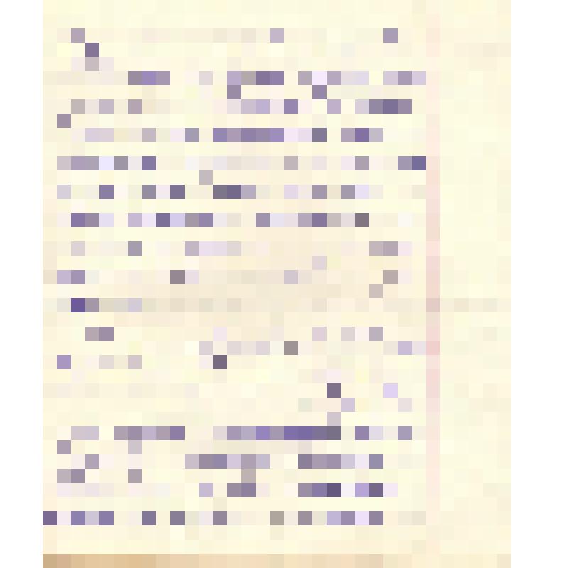 Воспоминания М.В. Голева о Гражданской войне, партизанском движении