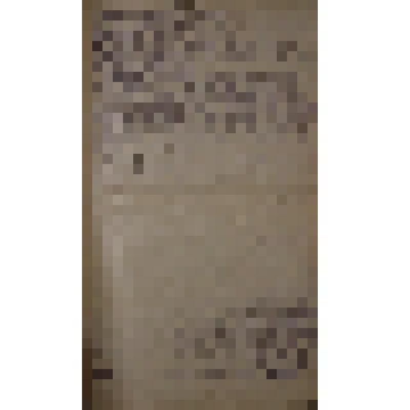 Воспоминания М.В. Голева о Гражданской войне, партизанском движении