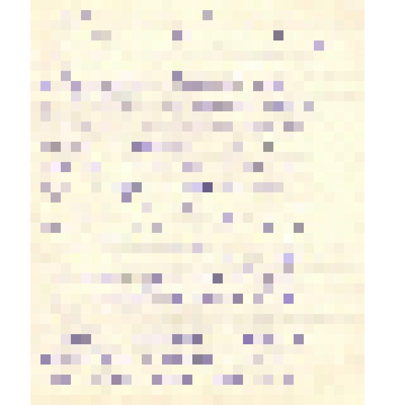 Воспоминания М.В. Голева о Гражданской войне, партизанском движении