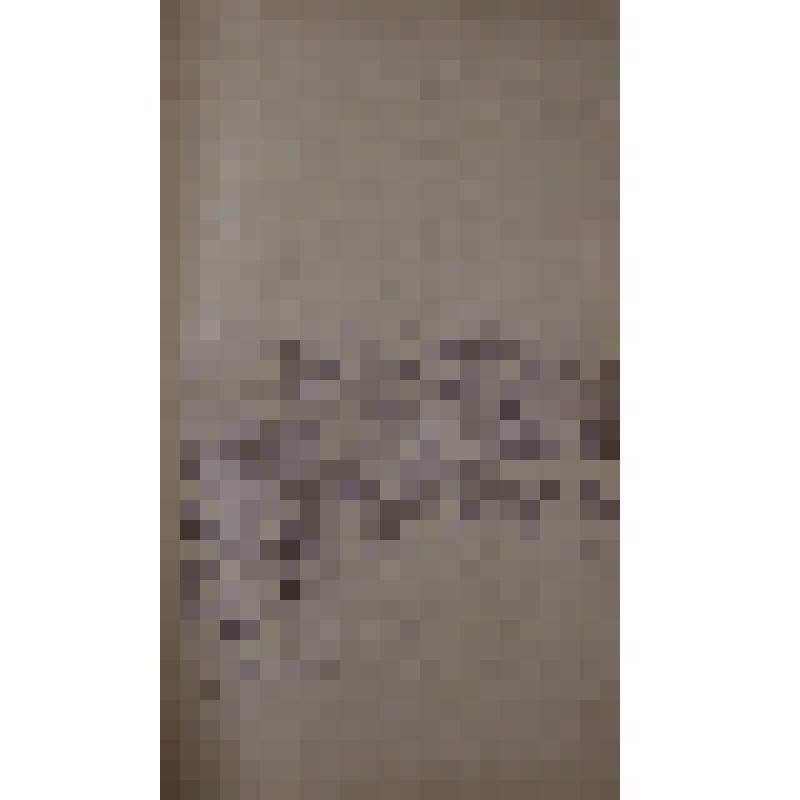 Воспоминания М.В. Голева о Гражданской войне, партизанском движении