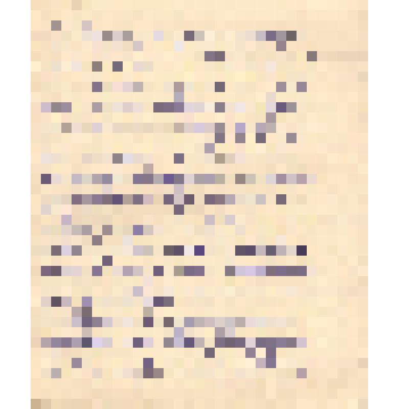 Воспоминания М.В. Голева о Гражданской войне, партизанском движении