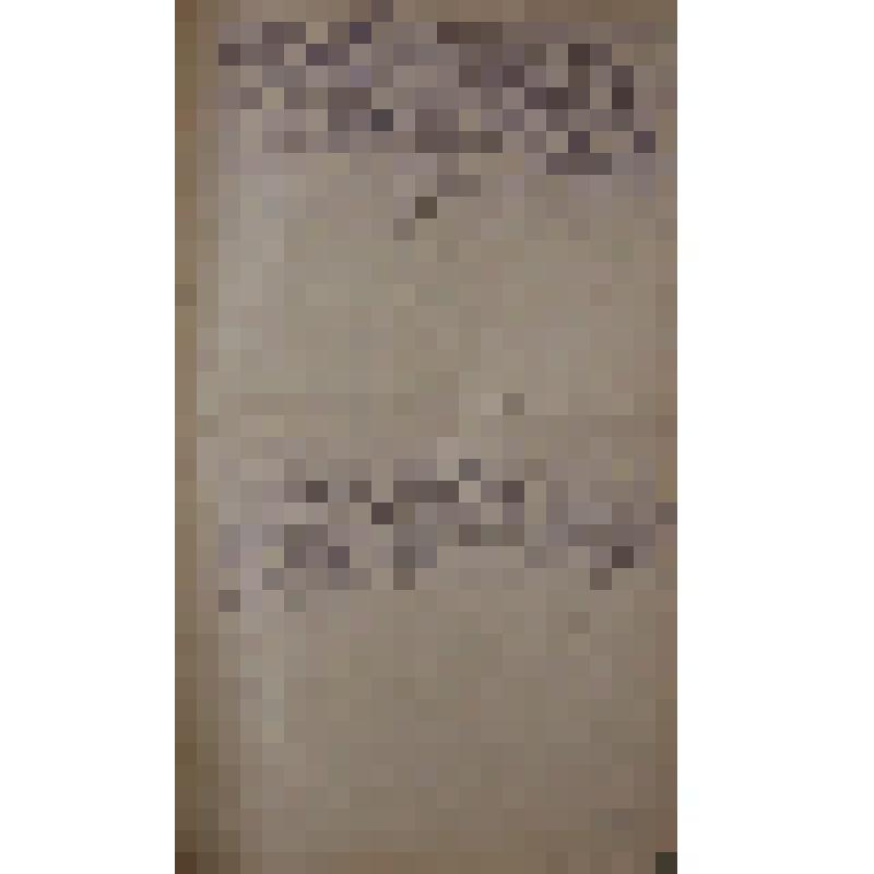 Воспоминания М.В. Голева о Гражданской войне, партизанском движении