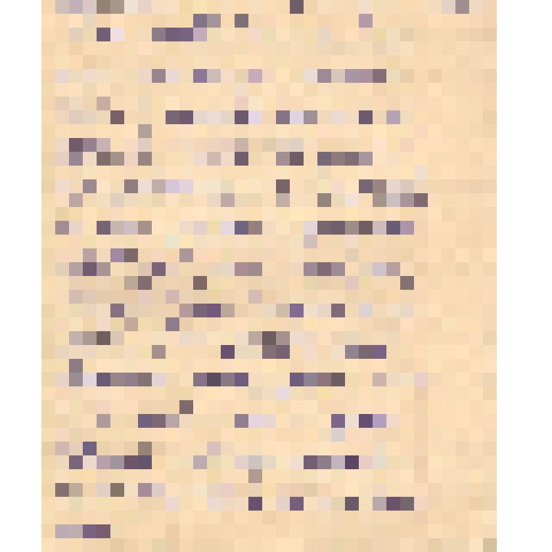 Воспоминания М.В. Голева о Гражданской войне, партизанском движении