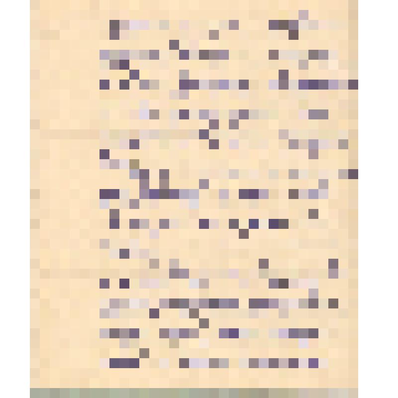 Воспоминания М.В. Голева о Гражданской войне, партизанском движении