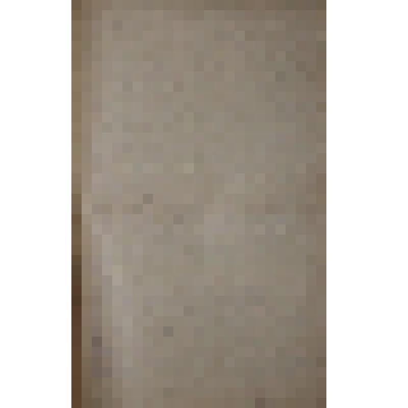 Воспоминания М.В. Голева о Гражданской войне, партизанском движении