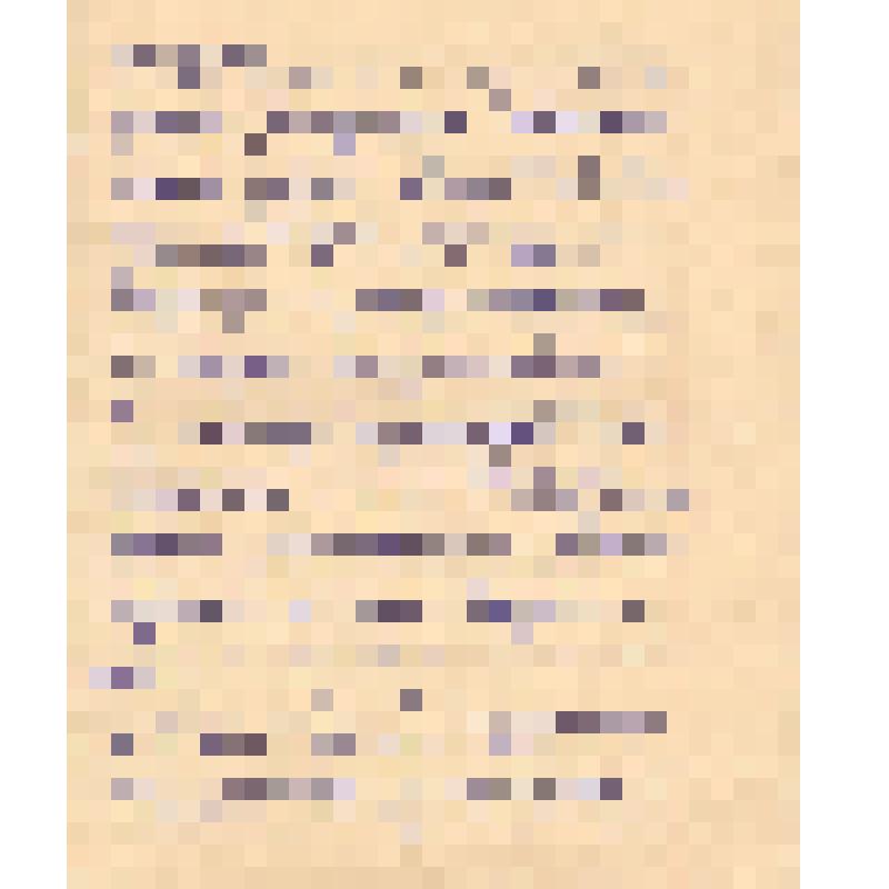 Воспоминания М.В. Голева о Гражданской войне, партизанском движении