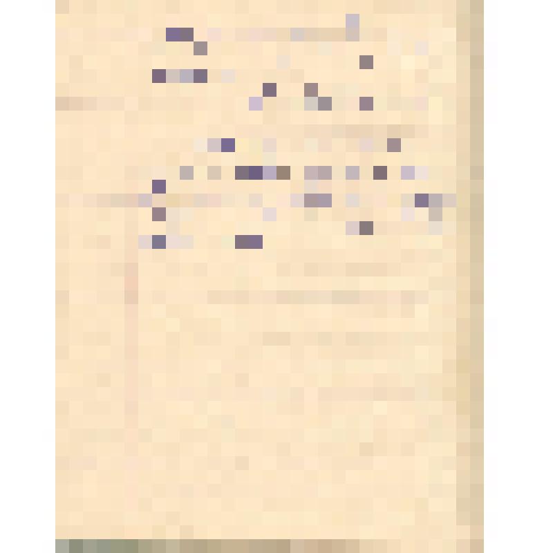 Воспоминания М.В. Голева о Гражданской войне, партизанском движении