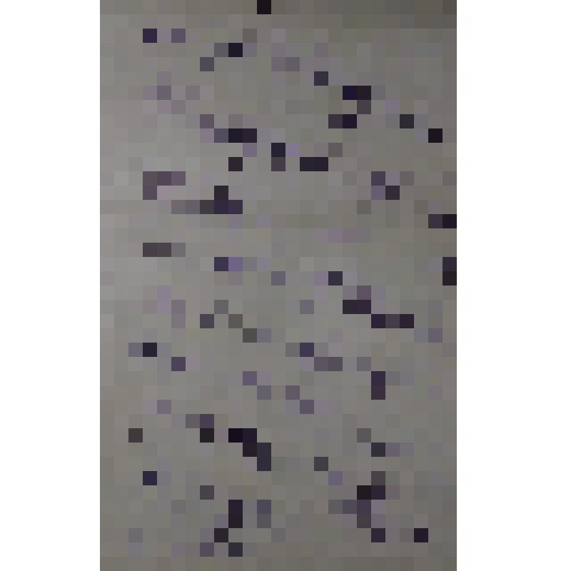 Воспоминания М.В. Голева о Гражданской войне, партизанском движении