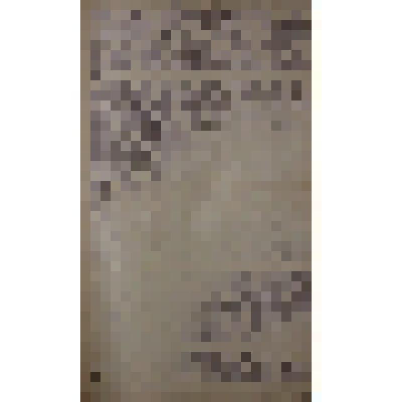 Воспоминания М.В. Голева о Гражданской войне, партизанском движении