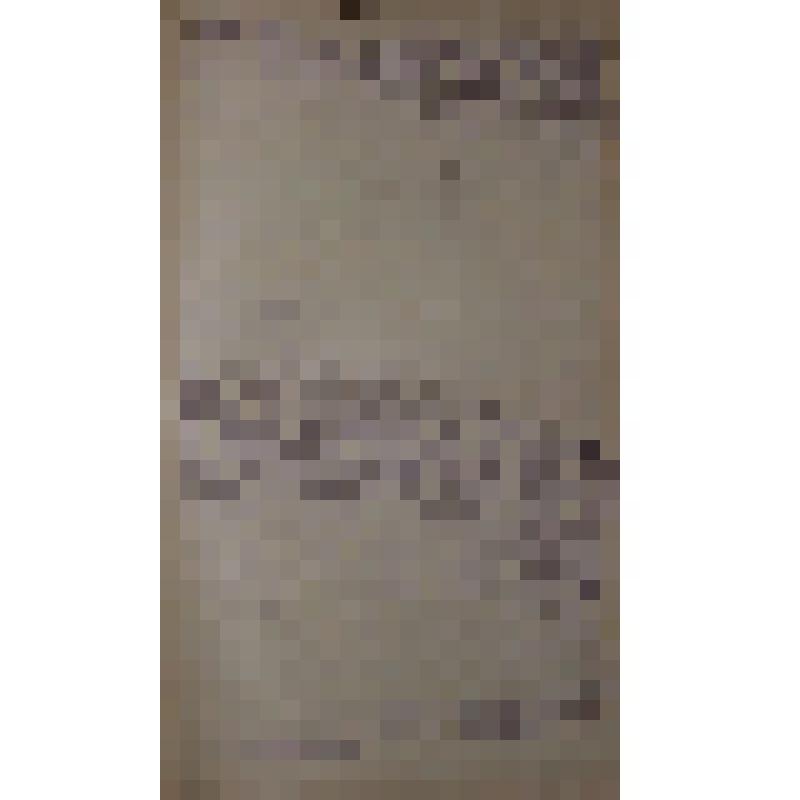 Воспоминания М.В. Голева о Гражданской войне, партизанском движении