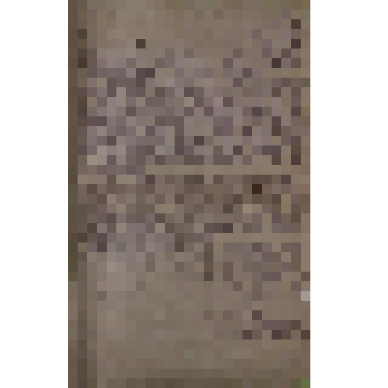 Воспоминания М.В. Голева о Гражданской войне, партизанском движении