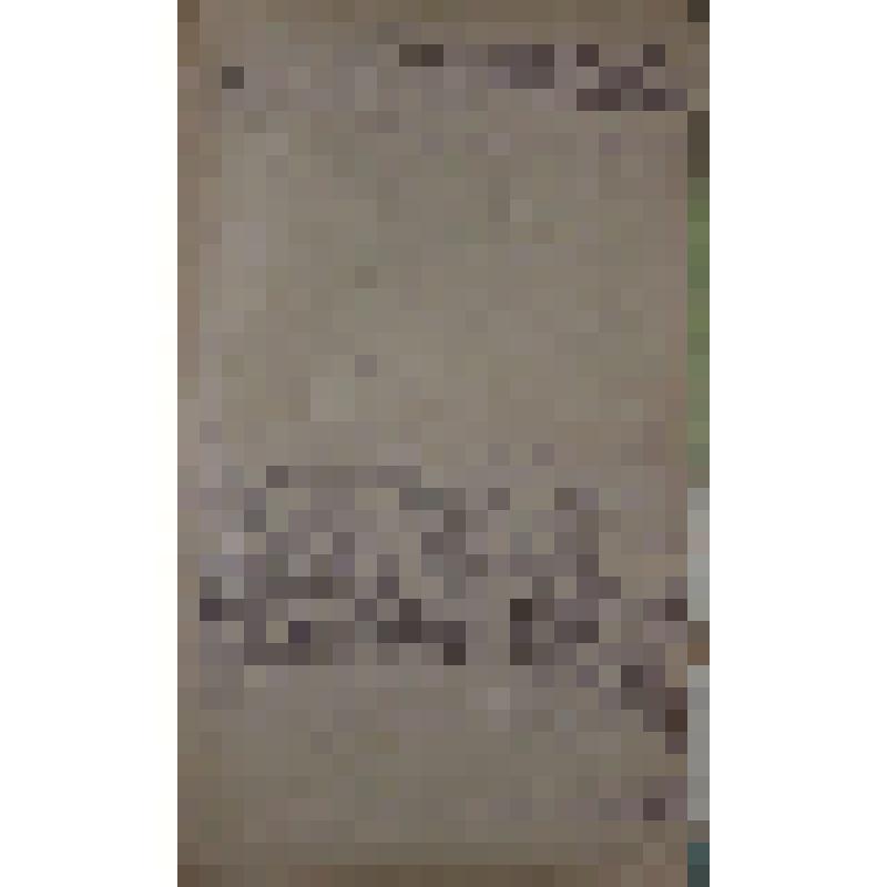 Воспоминания М.В. Голева о Гражданской войне, партизанском движении