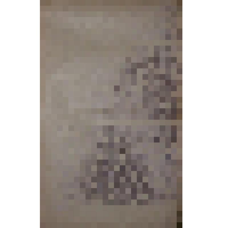 Воспоминания М.В. Голева о Гражданской войне, партизанском движении