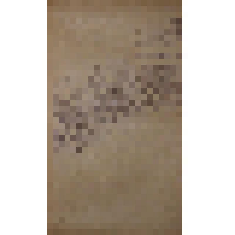 Воспоминания М.В. Голева о Гражданской войне, партизанском движении