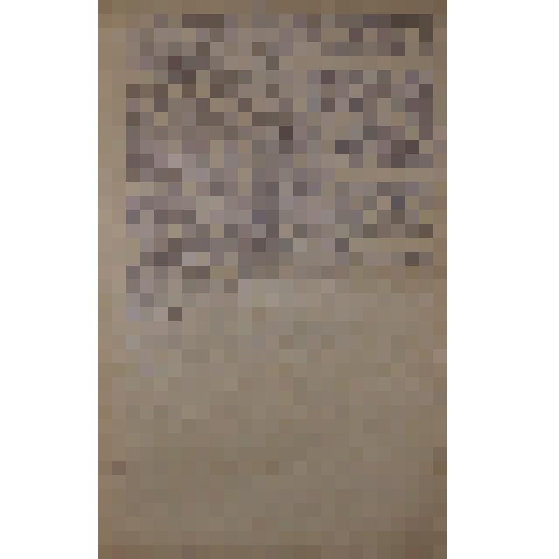 Воспоминания М.В. Голева о Гражданской войне, партизанском движении