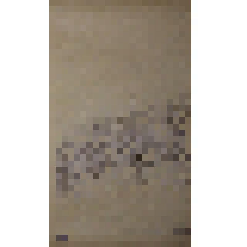 Воспоминания М.В. Голева о Гражданской войне, партизанском движении