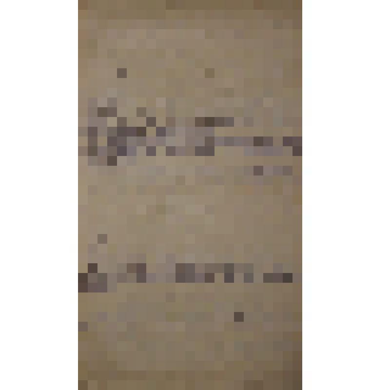 Воспоминания М.В. Голева о Гражданской войне, партизанском движении